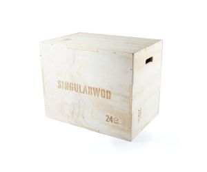 Standard Plyometric Box